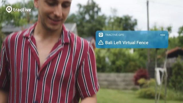 Tractive GPS Pet Tracker for Dogs - Waterproof, GPS Location & Smart Activity Tracker - silas lam смотреть онлайн