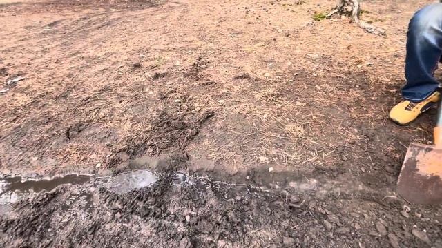 Сезон шашлыка открыт смотреть онлайн