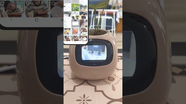GUIDE_Custom Animation feature for smart pet planter Ivy смотреть онлайн