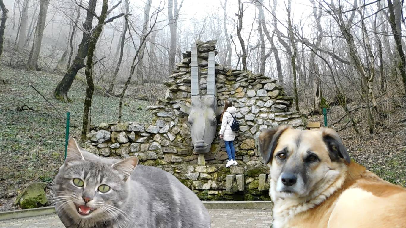 ЖЕЛЕЗНОВОДСК ЗИМОЙ. Прогулка и забота о бродячих животных смотреть онлайн