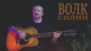 Волк (Сплин-КАВЕР)