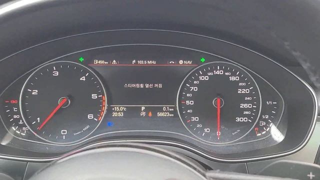 AUDI / A6 / 19898 / A6 Allroad Quattro (2015)