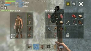 играю с другом в оксайд 1 часть