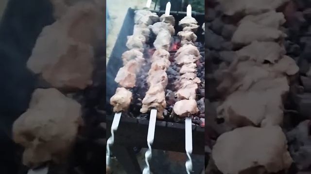 Настоящий шашлык только из 100% натуральных ингредиентов! #деревенскаяжизнь смотреть онлайн
