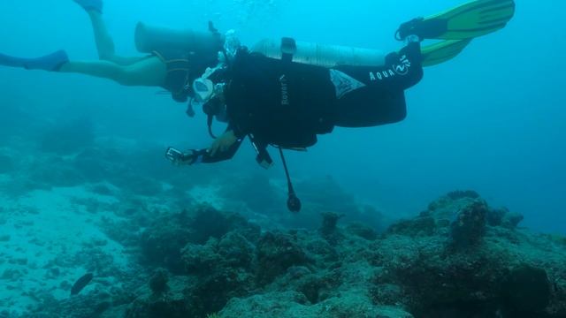 Maldives Manta Ray Research Expedition - Ep. 5 (Mantas in a Climate Crisis) I Manta Trust смотреть онлайн