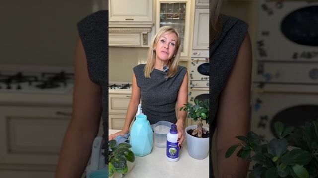 От чего могут погибнут растения зимой? Чем им помочь? смотреть онлайн