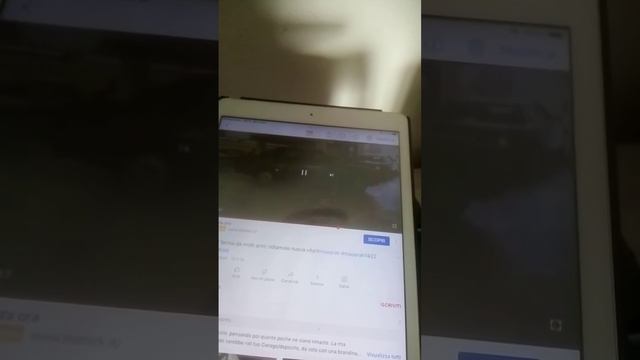 GASI Vs MASERATI 422 смотреть онлайн