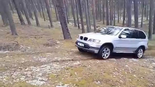 Bmw x5 vs черника 2 смотреть онлайн