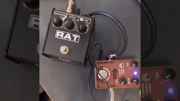 PROCO Rat vs $20 Dolamo Distortion (rat clone)