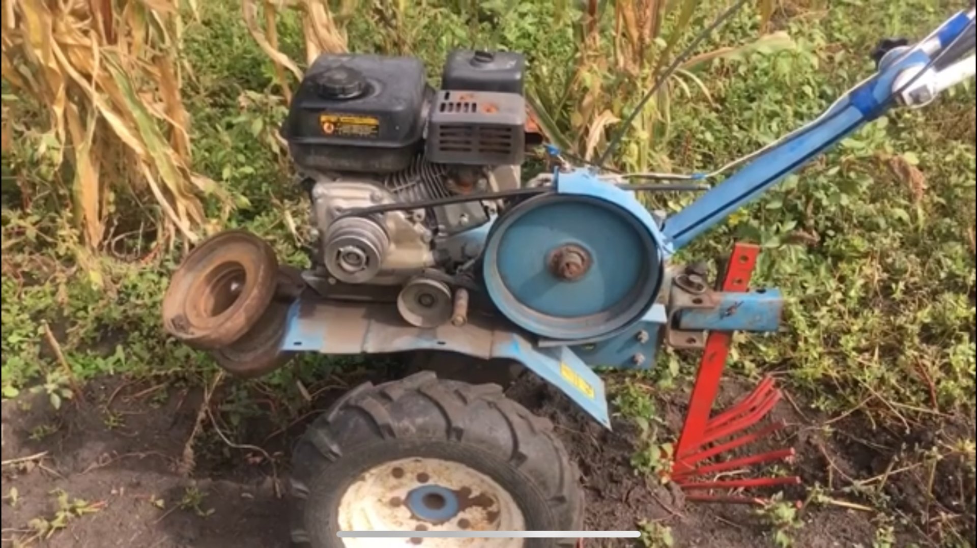 Уборка картофеля/ Копаем картофель мотоблоком Нева 2 мб/ Обзор на мотоблок. смотреть онлайн