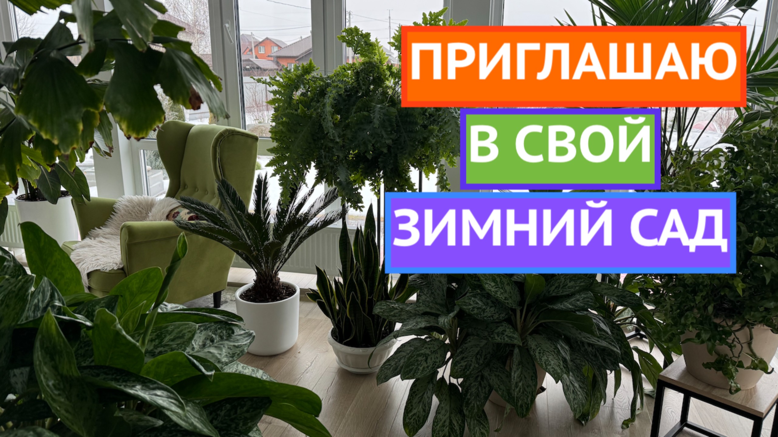 ПОКАЗЫВАЮ ВСЕ СВОИ КОМНАТНЫЕ РАСТЕНИЯ!🪴 смотреть онлайн