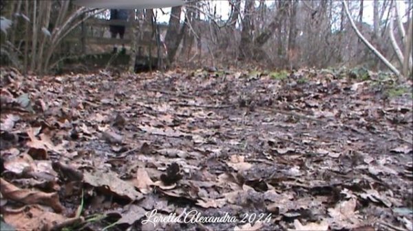 Loretta Alexandra in forest with her pretty forest night Ugg Classic Mini Platform 👩