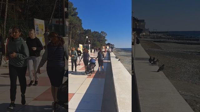 АДЛЕР. "Южное взморье" НАБЕРЕЖНАЯ 25 марта. смотреть онлайн