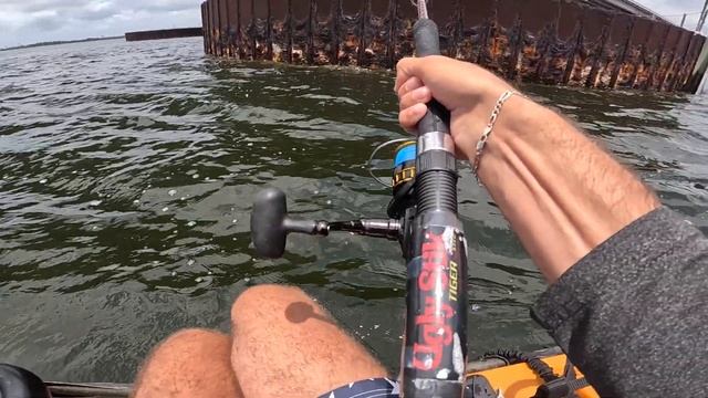 EPIC Bull Redfish Fishing in Panama City | Non Stop Action! смотреть онлайн