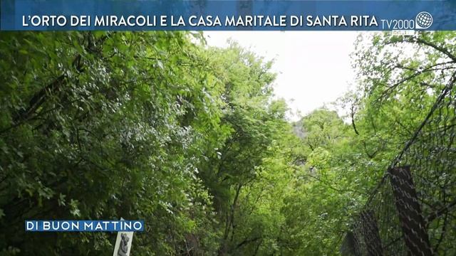 L'orto dei miracoli e la casa maritale di Santa Rita смотреть онлайн