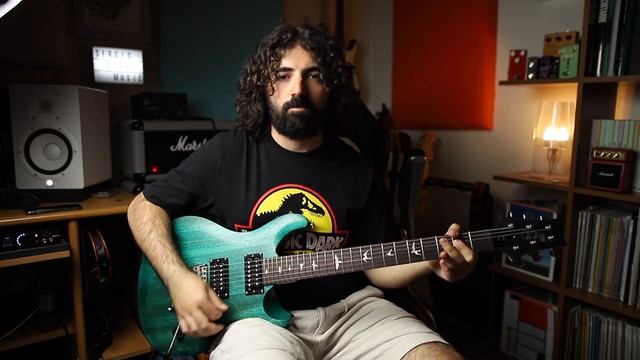 PRS SE CE24 Standard Satin Vs PRS SE Custom 24-08