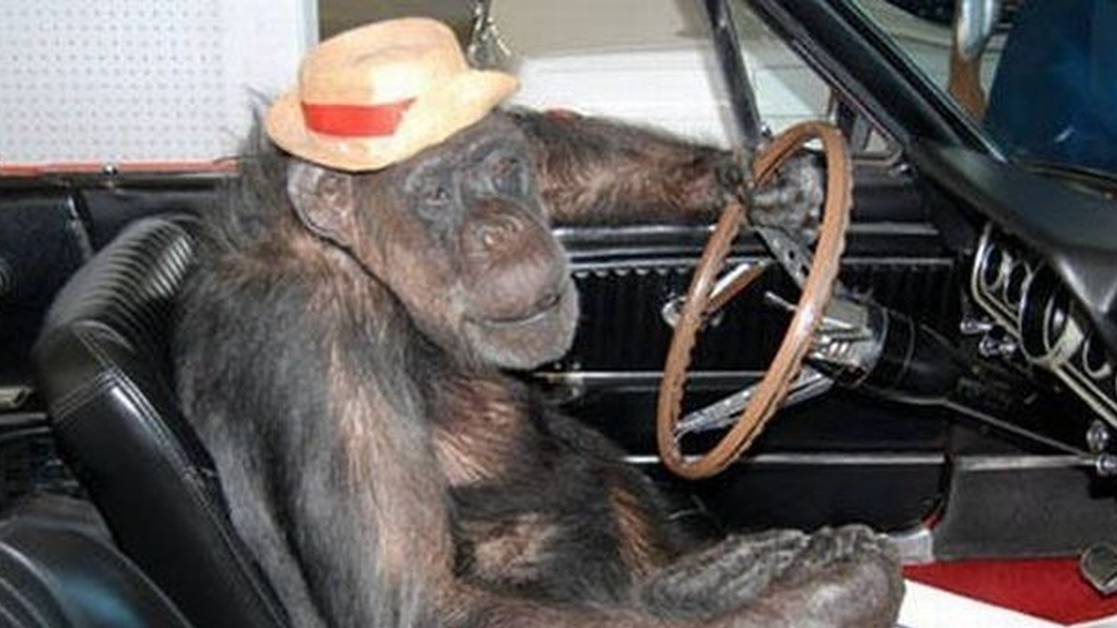 Station Is Motorsports