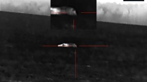 охота на кабана с ARKON ALFA 2 ST25