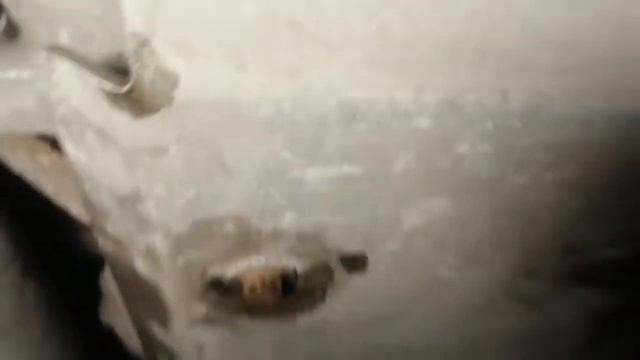 Киа Спортейдж замена масла в двс и редукторах смотреть онлайн