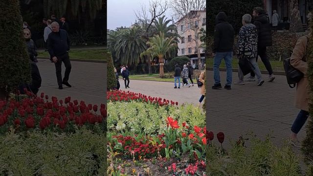 СОЧИ. Улица Навагинская. 30 марта. смотреть онлайн