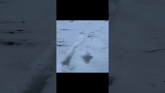 Такая охота сегодня смотреть онлайн