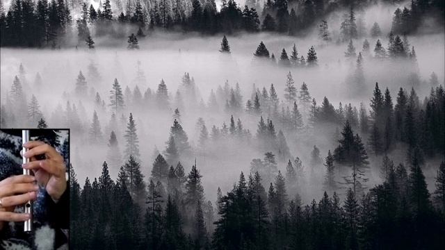 Eluveitie - Brictom  whistle cover  tabs  tutorial