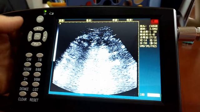 The Actual Operation of Veterinary Ultrasound Scanner смотреть онлайн