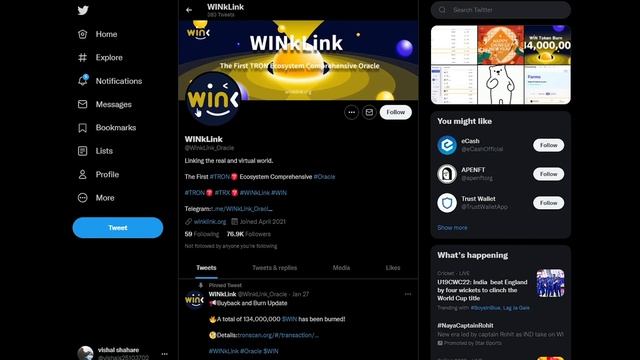 WINK COIN PRICE PREDICTION 2022 | Wink Coin Road Rs 1 | WINK Coin Shoking Reality | Wink New Burnin смотреть онлайн