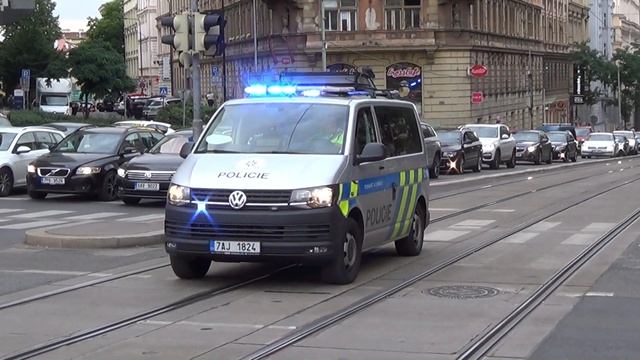 *RED & BLUE LIGHTS* Volkswagen Transporter T6 Fl Policie Čr смотреть онлайн