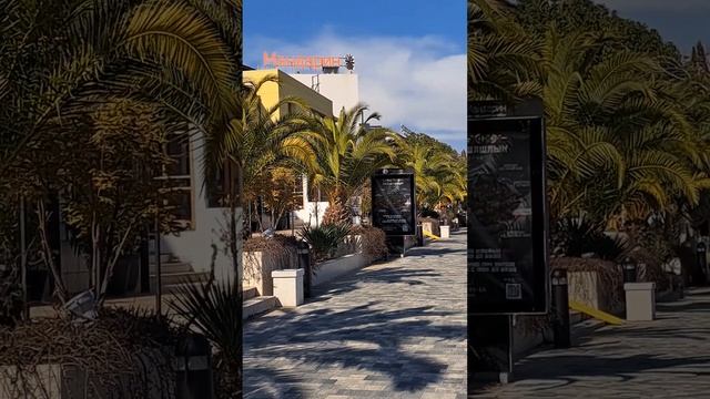 Адлер. "Мандарин" Набережная 21 марта. смотреть онлайн