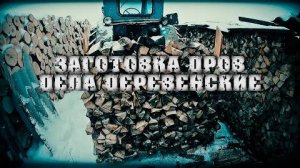 ЗАГОТОВКА ДРОВ НА ТРАКТОРЕ Т40 (СОРОКОВКА). УБОРКА СНЕГА. ПРОГУЛКА НА ЛЫЖАХ. ЖИЗНЬ В ДЕРЕВНЕ.