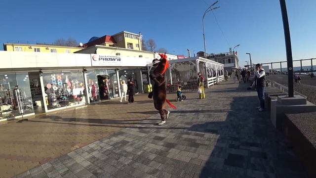 Адлер.1 января. Отличная погода. Пляж "Чайка". Набережная. Мандарин .. смотреть онлайн