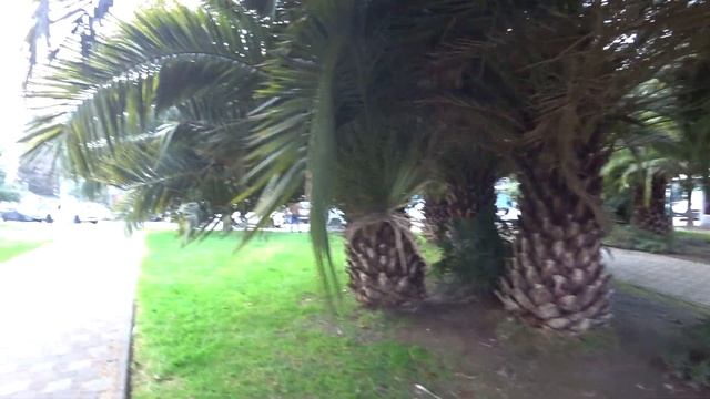 СОЧИ. Ж/Д ВОКЗАЛ. Улица НАВАГИНСКАЯ. Черешневый САД. МОРСКОЙ ПОРТ. Южный Мол .. смотреть онлайн