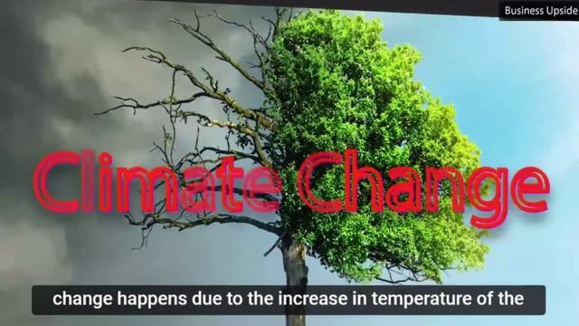 Top 5 Environmental Problems