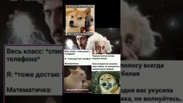 #meme #мемы набор мемов #рекомендации #пжактив #ржака #поржать смотреть онлайн