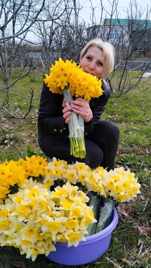 Участок, земля в Сочи .