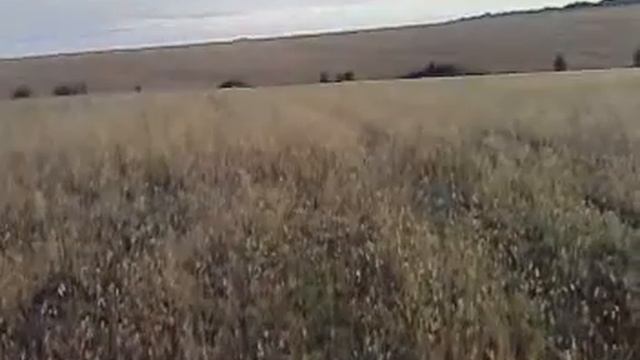 Дина 11 лет. перепел 2010 смотреть онлайн