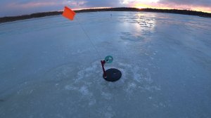 Щуки полно! Но такую щуку я не видел. Ловля на жерлицы зимняя рыбалка 2025