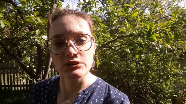Государственная языковая политика. Три основные стратегии смотреть онлайн