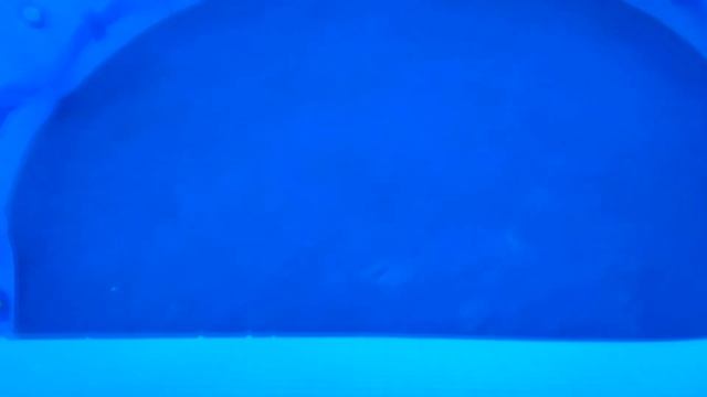 К ЛЕТУ ГОТОВЫ!!! ПРИОБРЕЛИ БАССЕЙН AVENLI НА УЧАСТОК смотреть онлайн