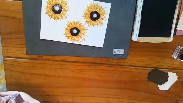 Epis 44 Stampin Up! Facebook Live Painted Harvest Online Card Class with Donna Gray смотреть онлайн