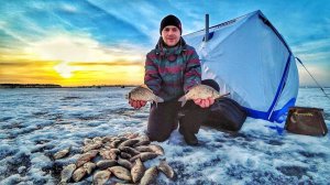 Попали на РАЗДАЧУ крупного КАРАСЯ! Озеро Сугояк