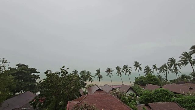 Во время дождя.