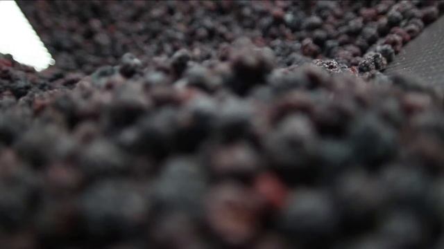 Йогурти з українськими ягодами п’ють у сімох європейських країнах смотреть онлайн