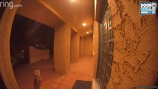 Always Verify Before Opening Your Door [Part 7] (Ring Video Doorbell Documentary) смотреть онлайн