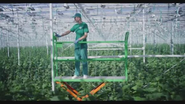 Продукция Walzmatic