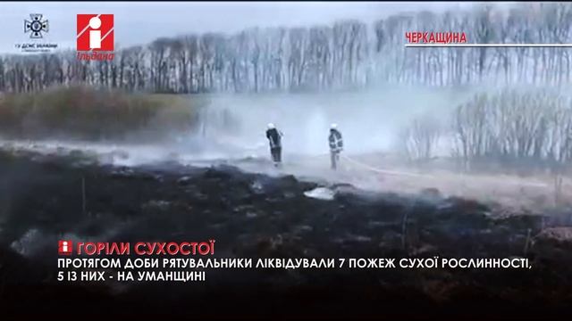 Протягом доби на Черкащині ліквідували 7 пожеж сухої рослинності смотреть онлайн