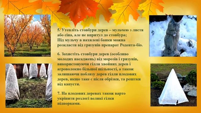 Презентация1 pptxЛистопад в саду і городі смотреть онлайн