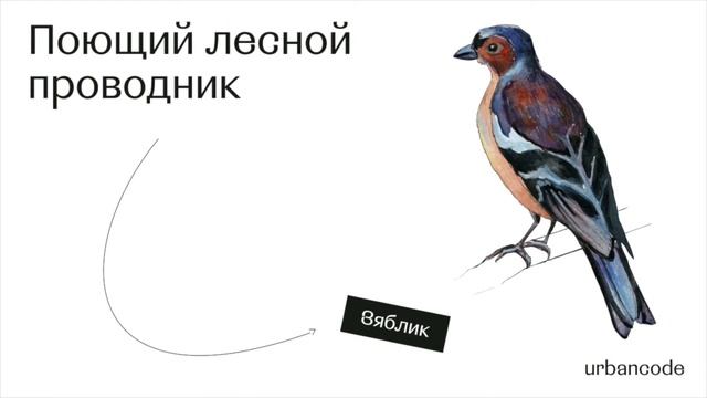 Зяблик смотреть онлайн