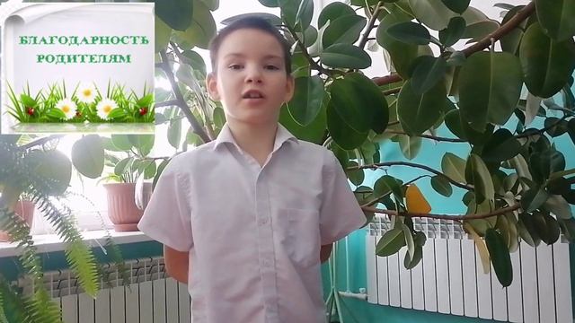 «Мы благодарны родителям» смотреть онлайн